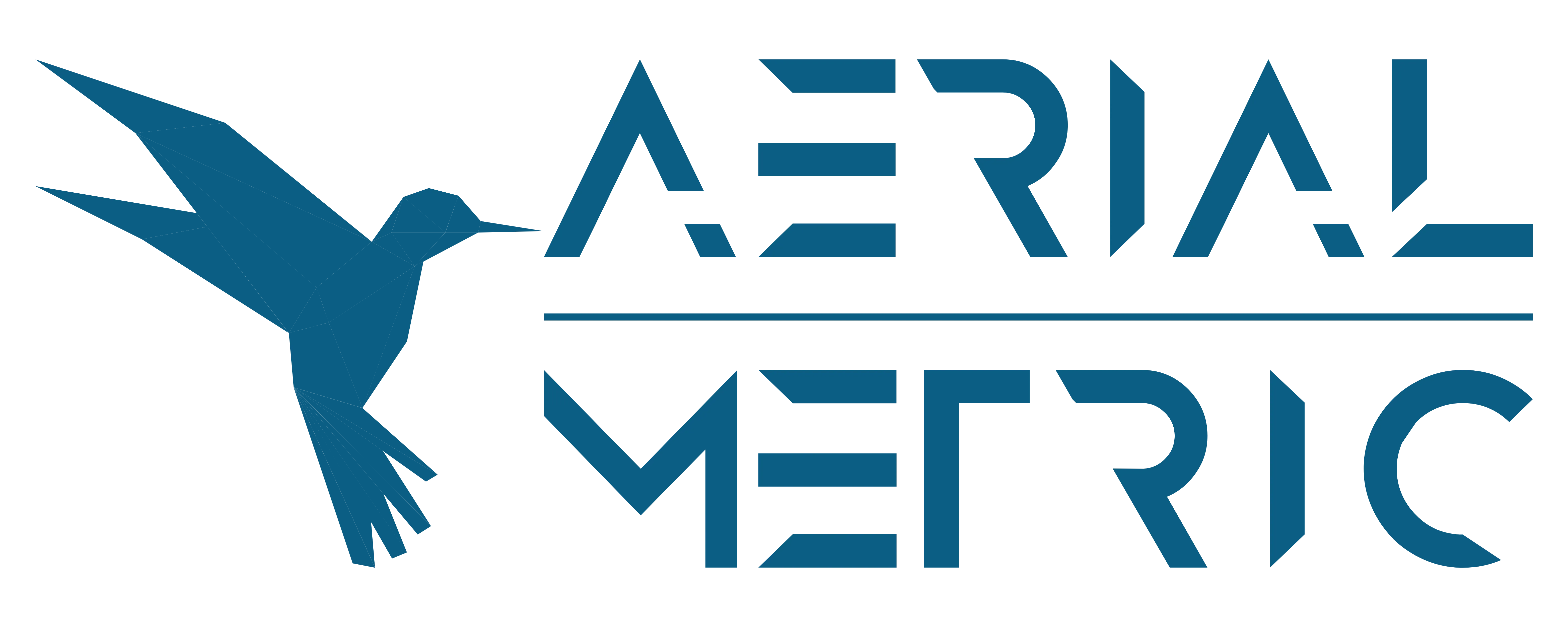 aerialmetric-sas (cover_id)
