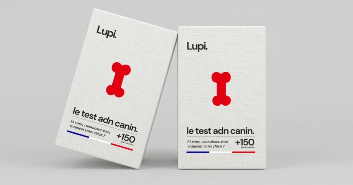 Social preview (site.lupiapp.fr)