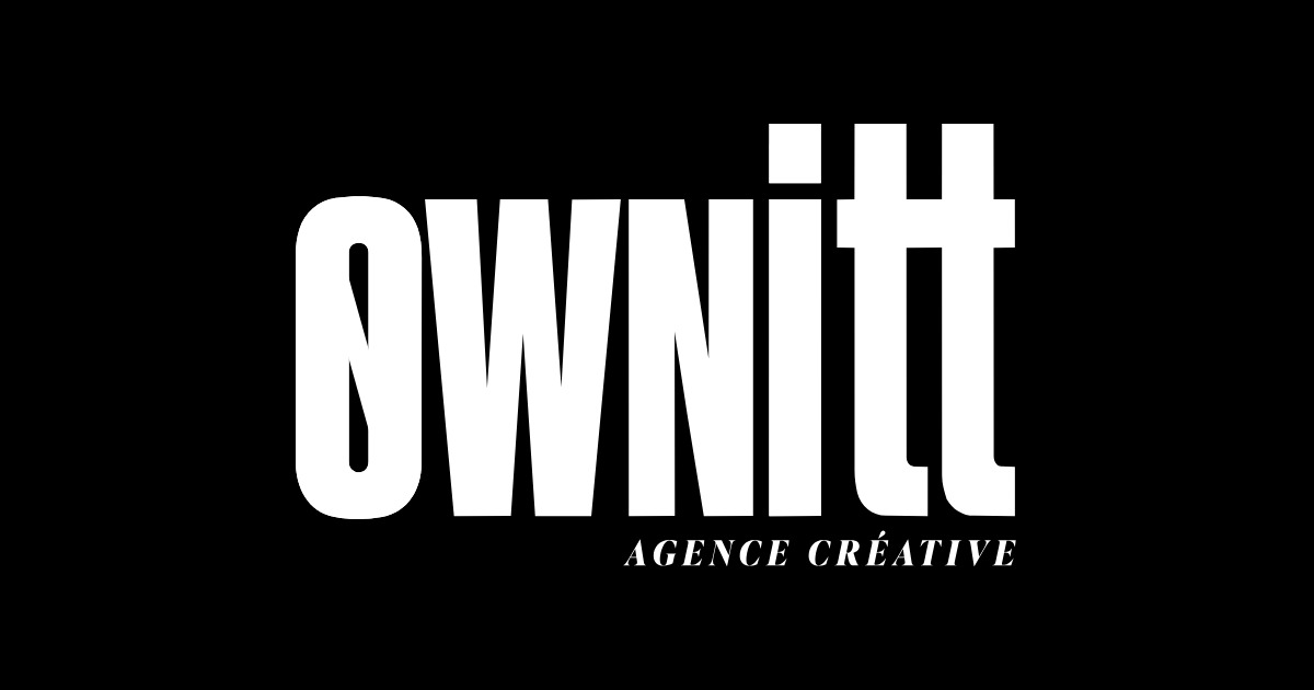 Social preview (ownitt.fr)