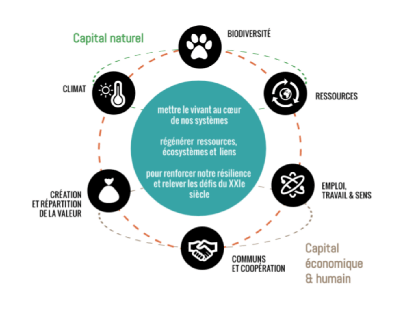 La régénération, capital économique et humain